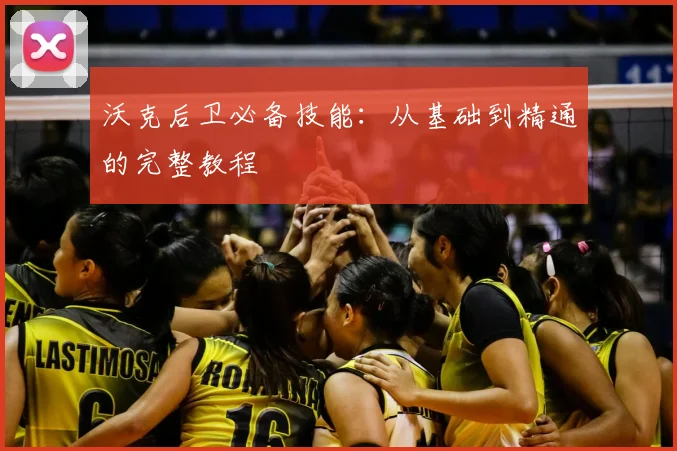 沃克后卫必备技能:从基础到精通的完整教程