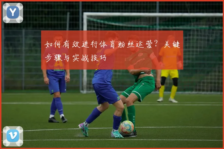 如何有效进行体育粉丝运营？关键步骤与实战技巧