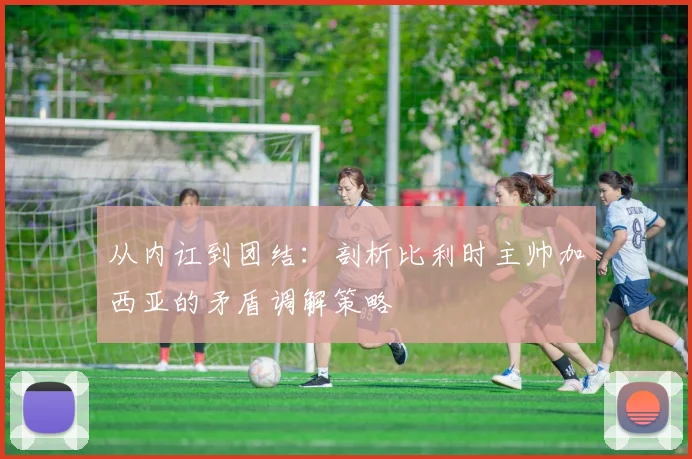 从内讧到团结:剖析比利时主帅加西亚的矛盾调解策略